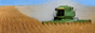 Member of The Harvester Project